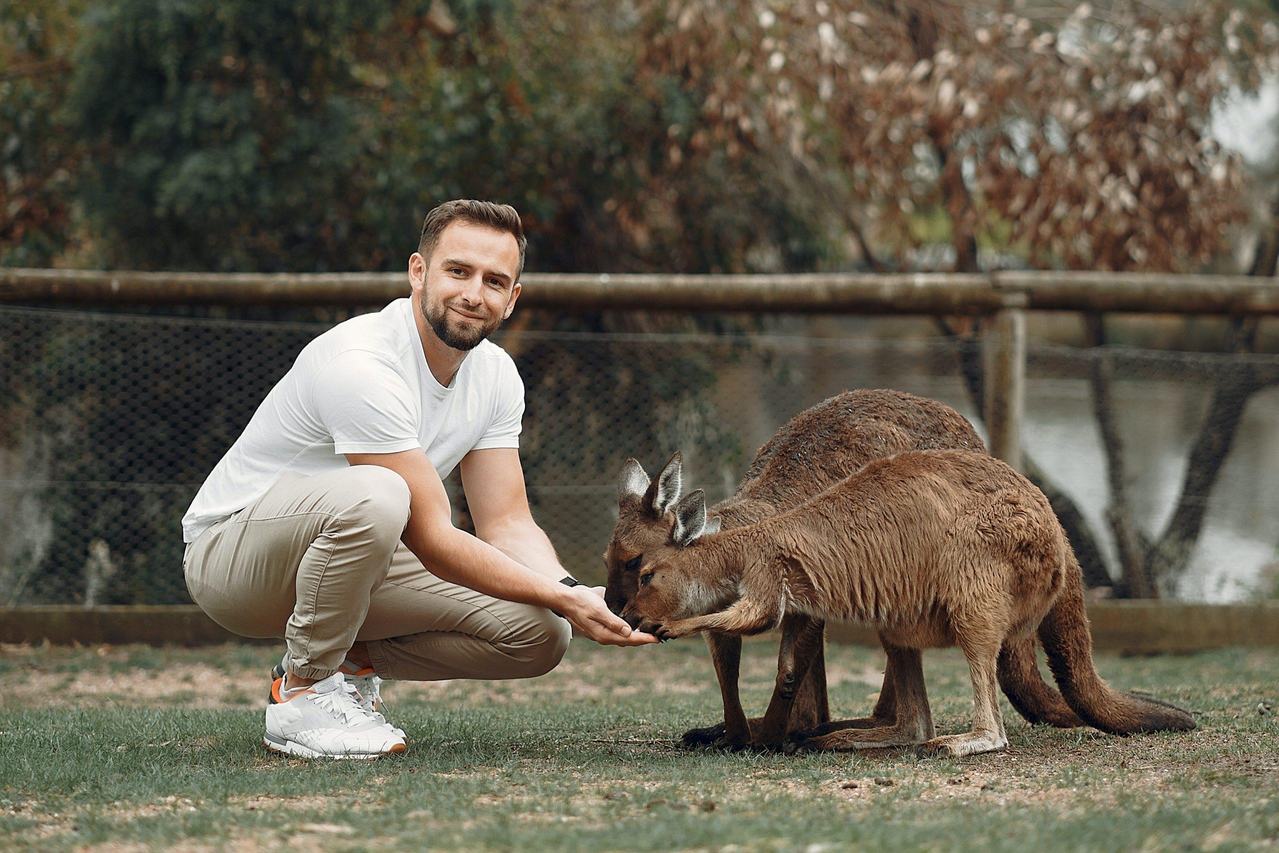 man feeding kangaroo