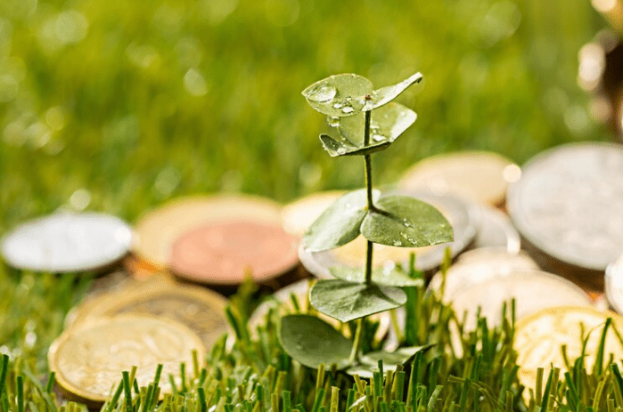 Unveiling the Evolution: Green Finance and Sustainable Investing