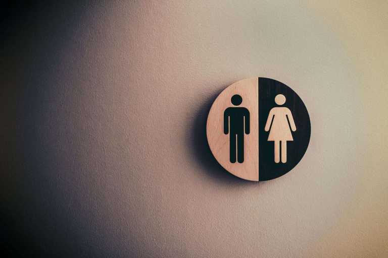 Exploring the Potential Impact of AI on Gender Equality