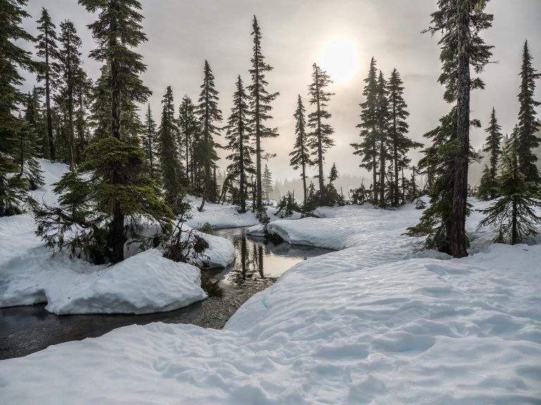 Met Office: Schools Shut Down Due to Snow and Rain