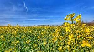 UK Weather: Big Warm-Up on the Way