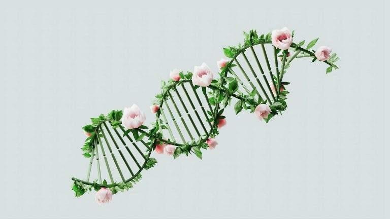 CRISPR vs. Traditional Gene Editing: What Makes It Superior?